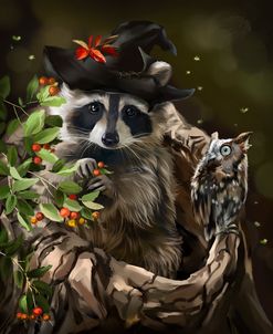 Raccoon