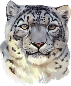 Snow Leopard
