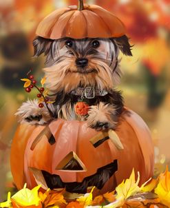 Autumn