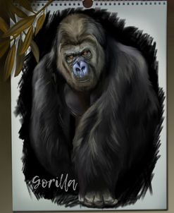 Gorilla