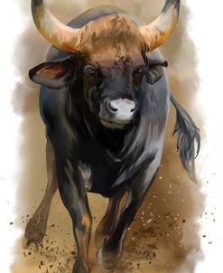 Bull