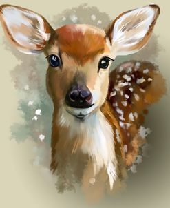Fawn