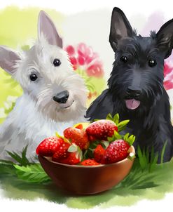 Strawberry Fields