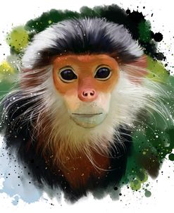 The Red-Shanked Douc Langur