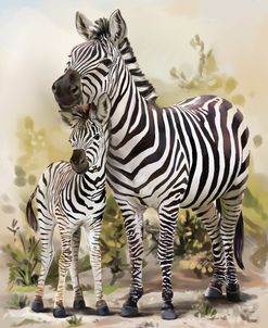 Two Zebras