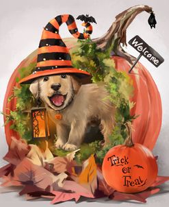 Halloween House