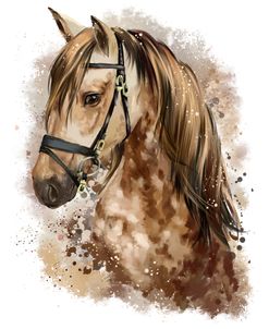 Horse