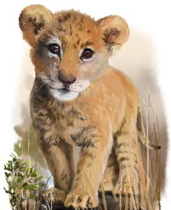 Lion