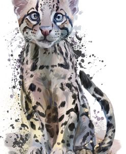 Ocelot