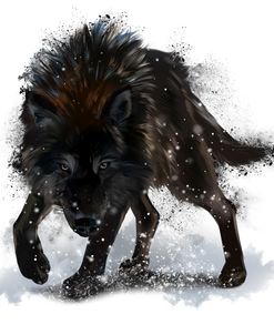 Wolf