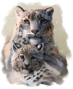 Leopards