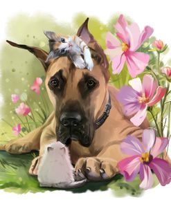 My Furry Friends