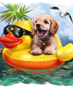 Summertime