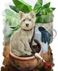 Hello, I’m Your New Gardener