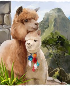 Machu Picchu And Alpacas