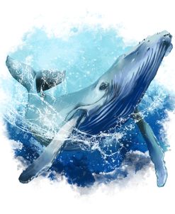 Tabby Whale Jumps Out Of The Wave