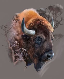 Bison