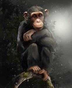 Pensive Chimpanzee