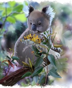 Baby-Koala