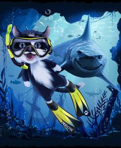 Meow Diving