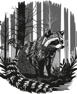 Raccoon In The Forest