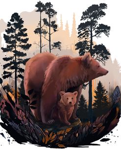 Bear Grove