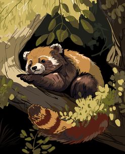 Red Panda Lying On A Tree Branch