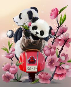 Panda-Bike