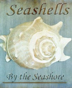 Seashells by the Seashore I