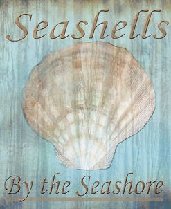 Seashells by the Seashore II