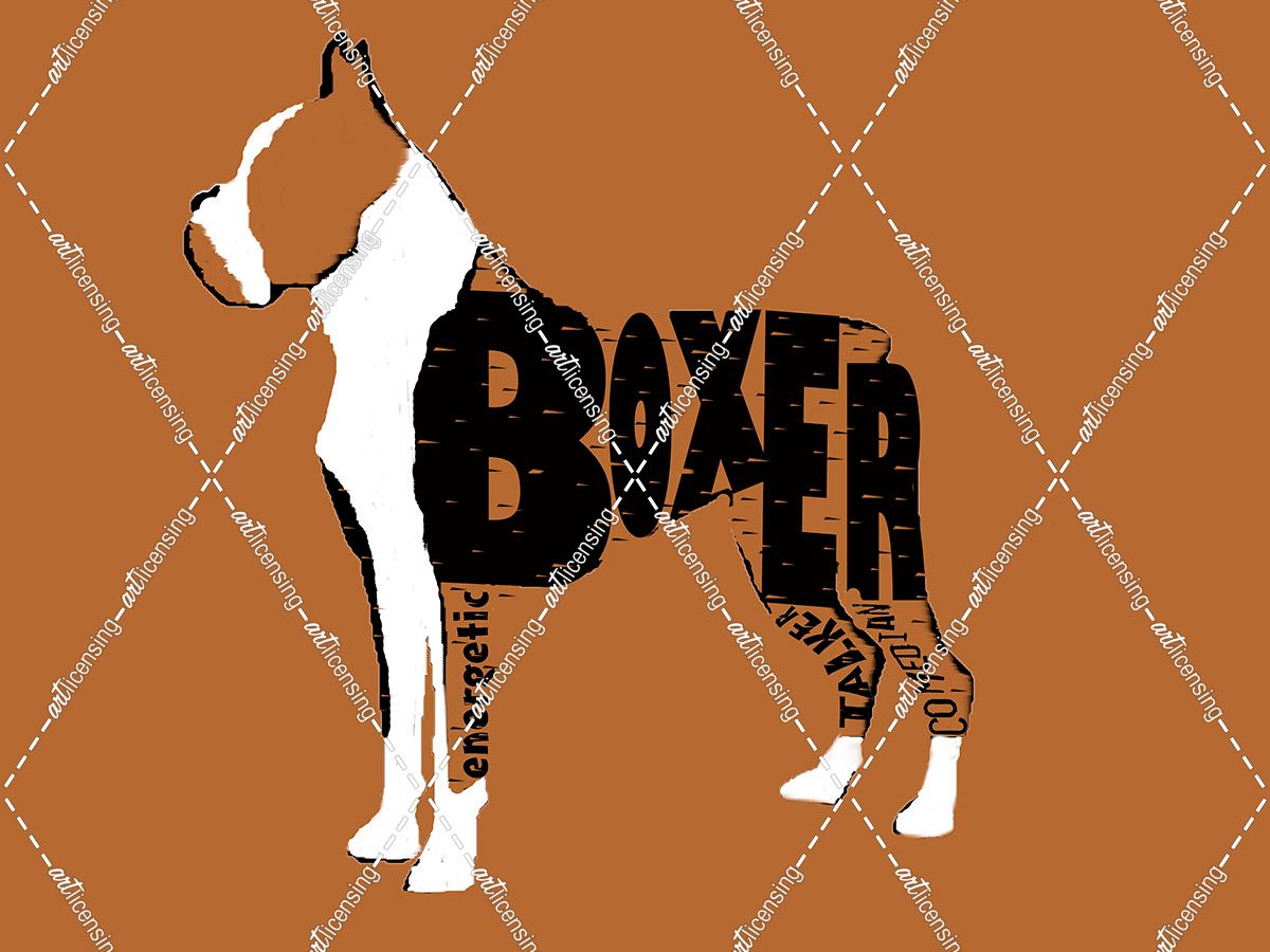 Boxer Word 2