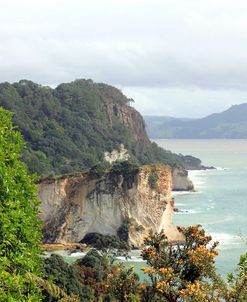 New Zealand 4