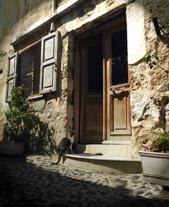 Greece, Cat on Stoop