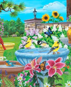 Birdbath Garden