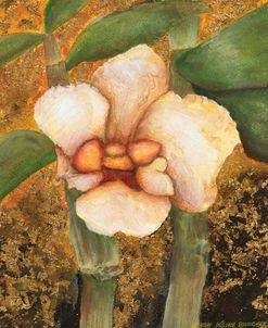 Gold Orchid II