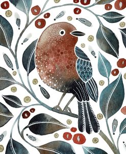 Winter Robin