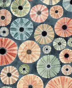 Sea Urchins