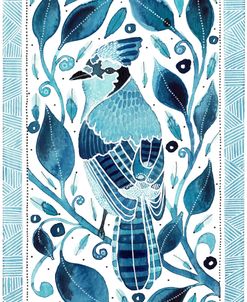 Bluejay