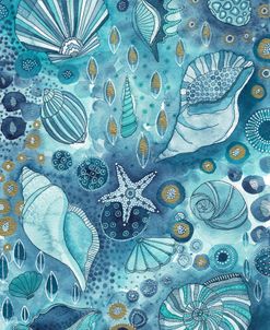 Seashells