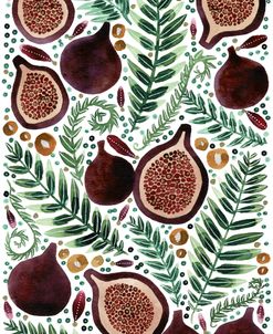 Fig & Fern