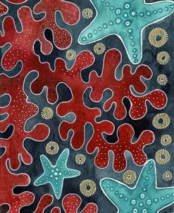 Starfish & Coral
