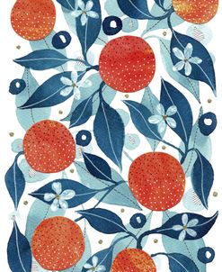 Seville Oranges