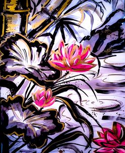 Nymphaea