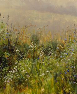 Wildflowers in the Mist