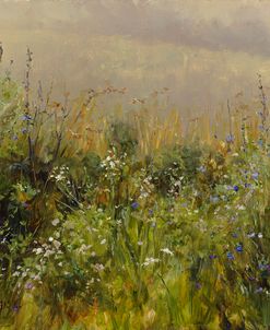 Wildflowers in the Mist