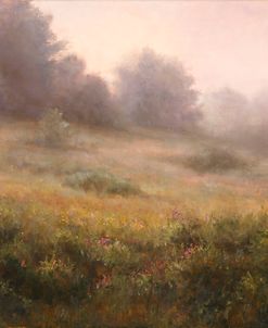 Meadow In Mist