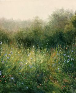 Dorset Wildflowers 4