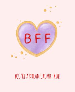 BFF You’re A Dream Crumb True