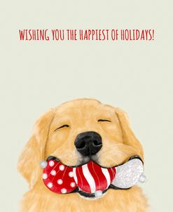 -Wishing You the Happiest of Holidays