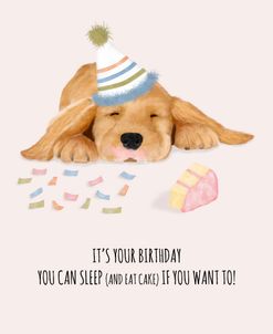 It’s Your Birthday Sleep And Eat Cake